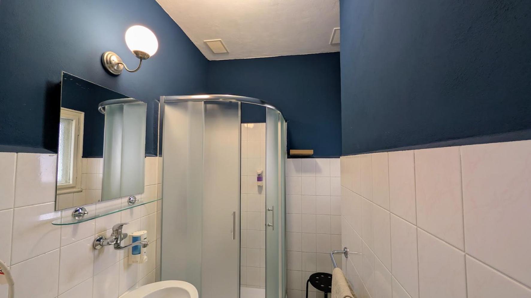 Flat In Zizkov -302- * Praha